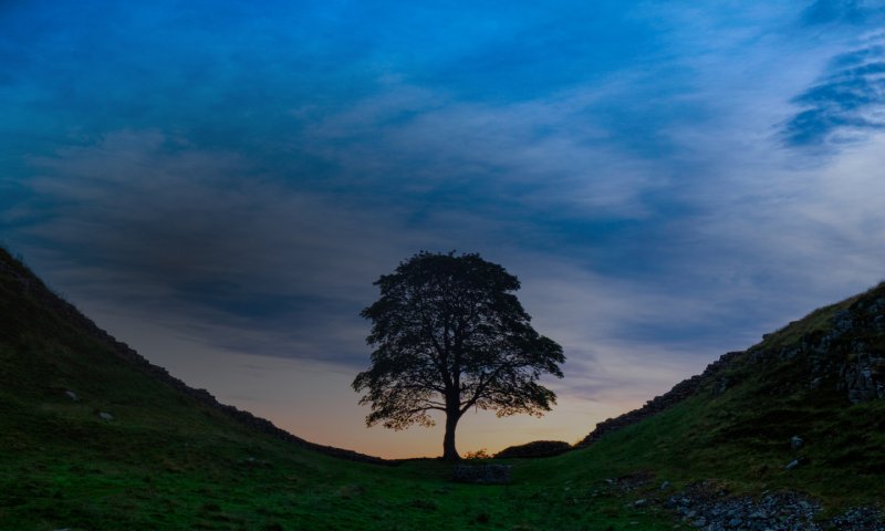 Everything is Bioethical